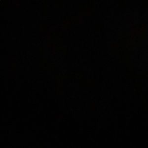 Meet your Posher, Addison